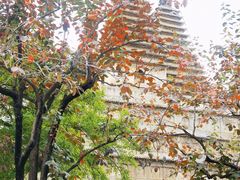 -北京石刻艺术博物馆(五塔寺)