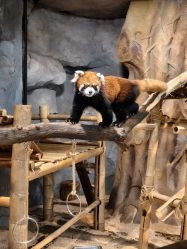 -Zoolung Zoolung动物主题公园(海信广场店)