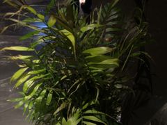 -唐宫足道·SPA·住宿24H会所(木渎店)