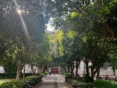 -武汉大学-樱园