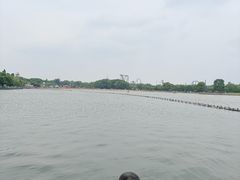 -上海月湖雕塑公园