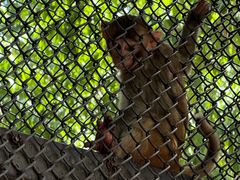 -长白岛森林公园