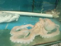 -渔中舟海鲜大排档(普陀沈家门店)