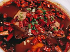 风味毛血旺-大鸭梨烤鸭(石佛营店)