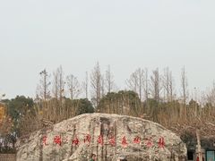 -上海海湾国家森林公园