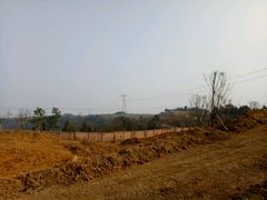 -绵阳盛世樱花悠乐谷