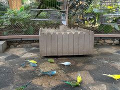 -南宫五洲植物乐园