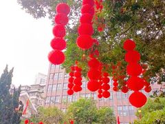 -东风公园