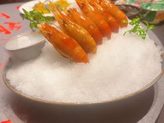 -桂满陇·海市蜃楼·黑金(国金店)