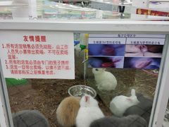 -欧尚超市苏州店停车场(金鸡湖路店)