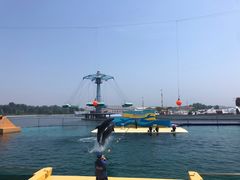 -秦皇岛乐岛海洋王国