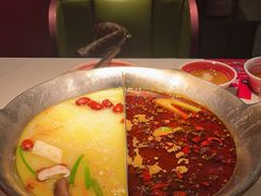 -九鼎轩脆毛肚火锅(三钢里店)