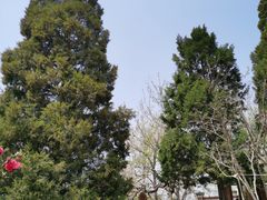 -中山美食街