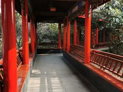 -南汇桃花村
