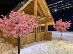 -宁波冰雪大世界(北仑区)