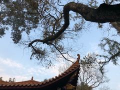 -炎帝陵景区
