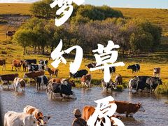 -呼伦贝尔大草原