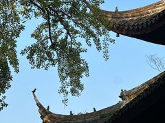-西园戒幢律寺