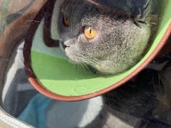 -嘉馨宠物医院·CT影像转诊·心脏科·犬猫全科诊疗中心(下沙大学城院区)