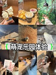 -Zoolung Zoolung动物主题公园(海信广场店)