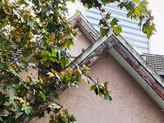 -蝶舍·MAISON PAPILLON