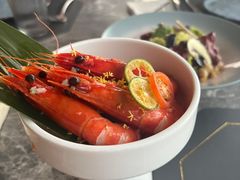 -Hi City·城市之巅