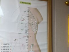 -瑞鹏宠物医院·眼科·皮肤·中兽医(大悦城分院)