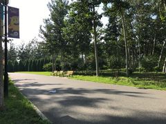 -永定河休闲森林公园