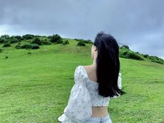 -大姆山草场