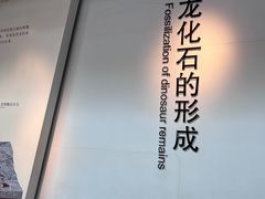 -安徽省地质博物馆