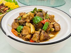 -北京紫金宫饭店