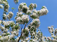 -野鸭湖国家湿地公园