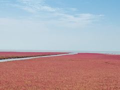 -红海滩国家风景廊道