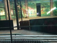 -鄂尔多斯野生动物园