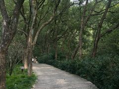 -宁波市保国寺古建筑博物馆