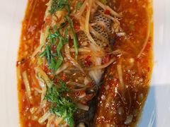 -雀蓝川菜(奥体广场店)