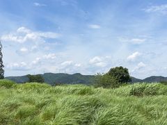 -良渚古城遗址公园