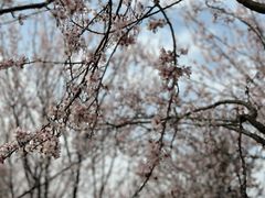 -洋湖国家湿地公园