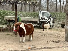 -北京野生动物园
