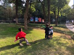 -重庆市江北嘴中央商务区中央公园