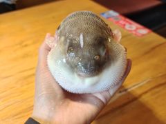 -永安鱼庄·镇江菜(丁卯店)