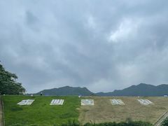 -龙坞茶村