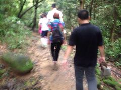 -火炉山森林公园