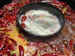 -渝大狮毛肚老火锅(普陀店)