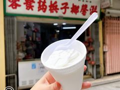 -洪馨椰子