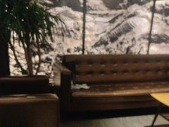 -甘家界牌柠檬鸭(青山店)