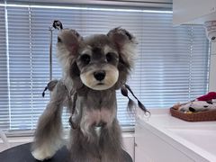 -帕帕拉兹宠物(亚洲旗舰店)