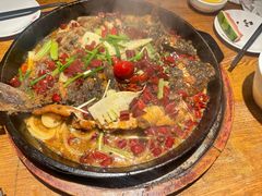 -老板恋上鱼(高新万达店)