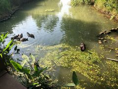 -长兴太湖图影湿地文化园