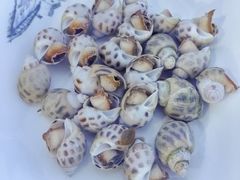 -岛中岛·海鲜大排档·万宁老字号(东澳店)